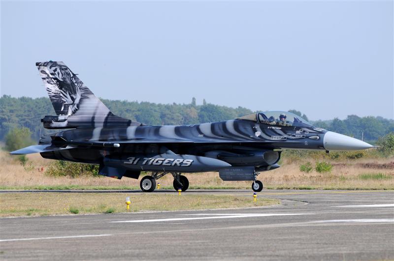 31 sm Tiger 2009.jpg - 31 sm Tiger 2009